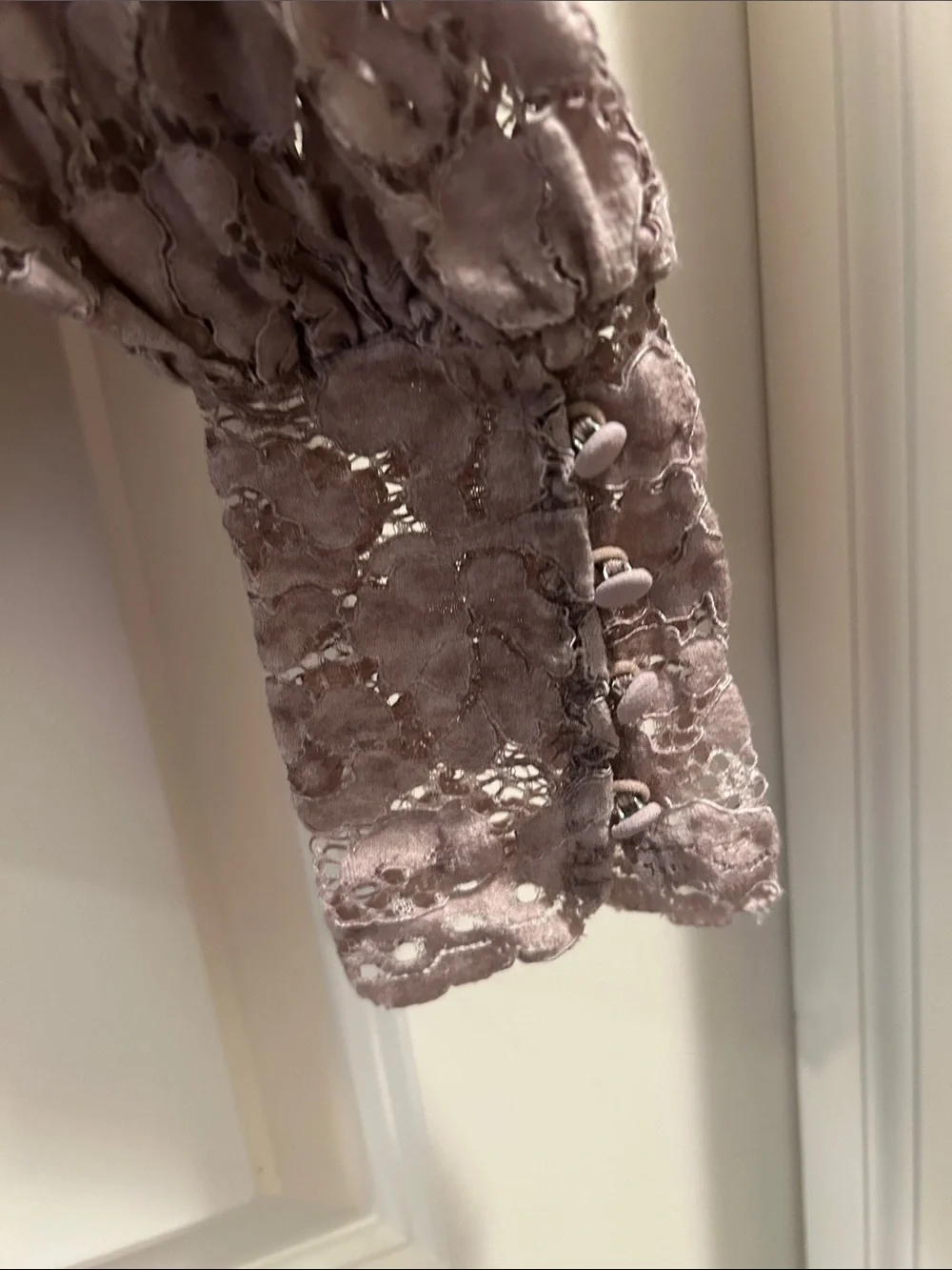 Zara GORGEOUS SEXY Lace peekaboo LongSleeve Blouse scallop hem size M beige